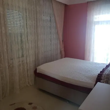 Amira T Alanya